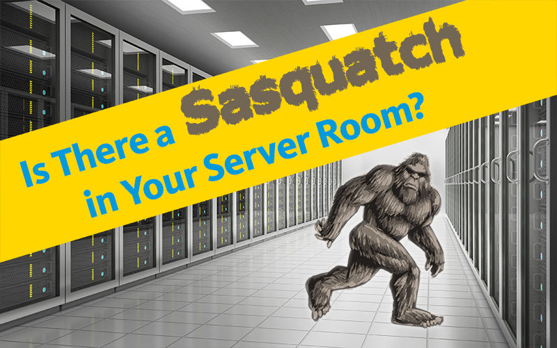 Top 3 Tech Hoaxes Is There A Sasquatch In Your Server Room Curvature